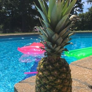 Meet your Posher, Daphne